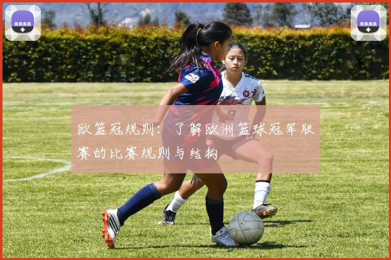 欧篮冠规则：了解欧洲篮球冠军联赛的比赛规则与结构
