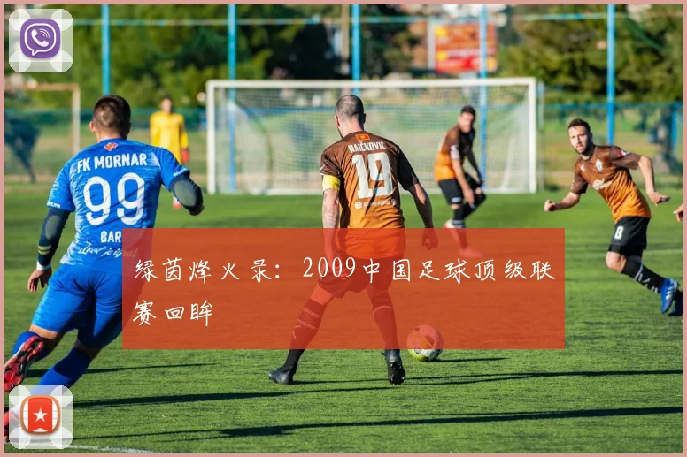 绿茵烽火录：2009中国足球顶级联赛回眸